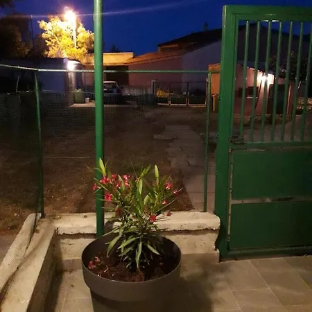 Alen Pula